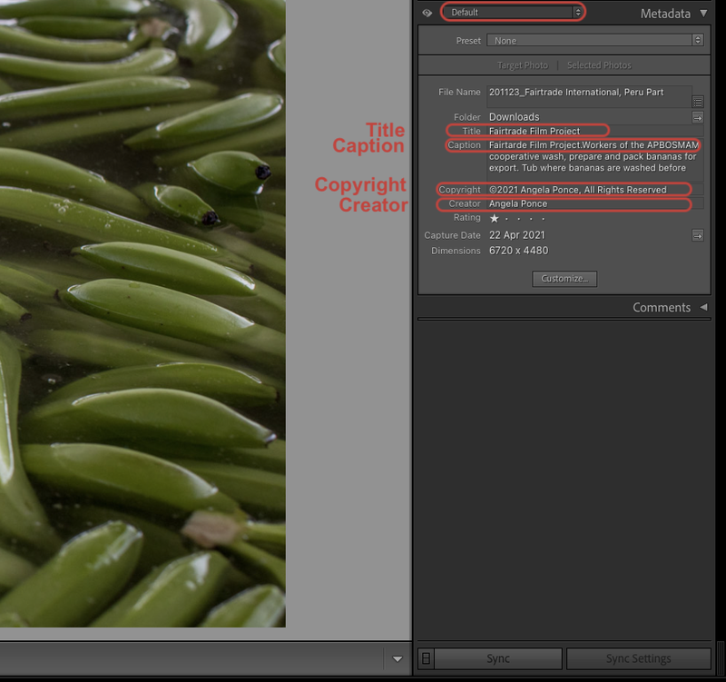 Lightroom 2_edited