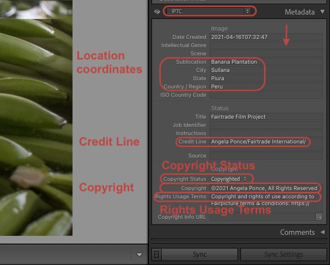 Lightroom 3_edited