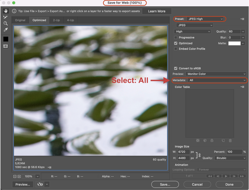 photoshop export image